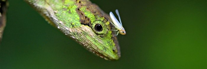NataneAdventure's profile banner image