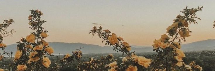 EmilyCorrado1's profile banner image