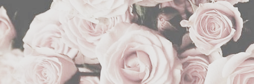 NayaRPGFOC's profile banner image