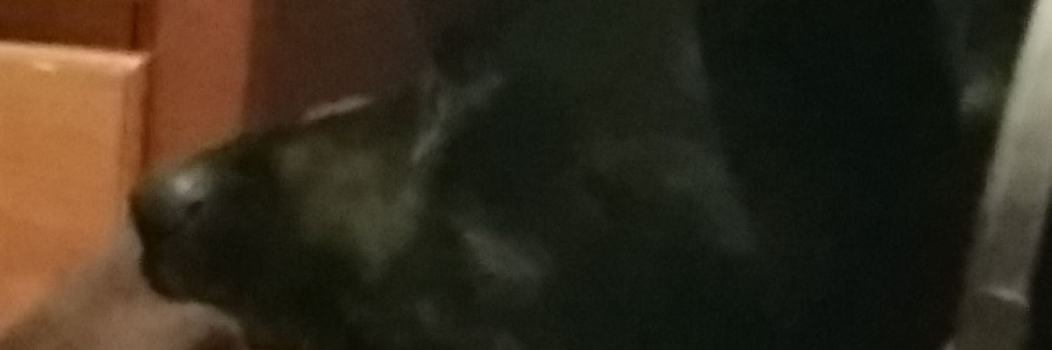 MagicalLight's profile banner image