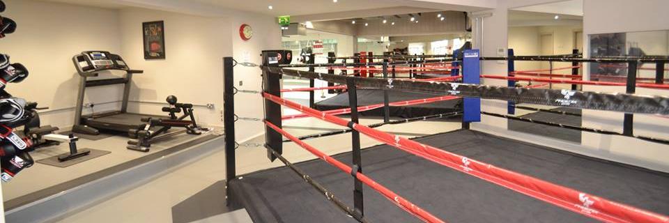Phoenixboxing's profile banner image