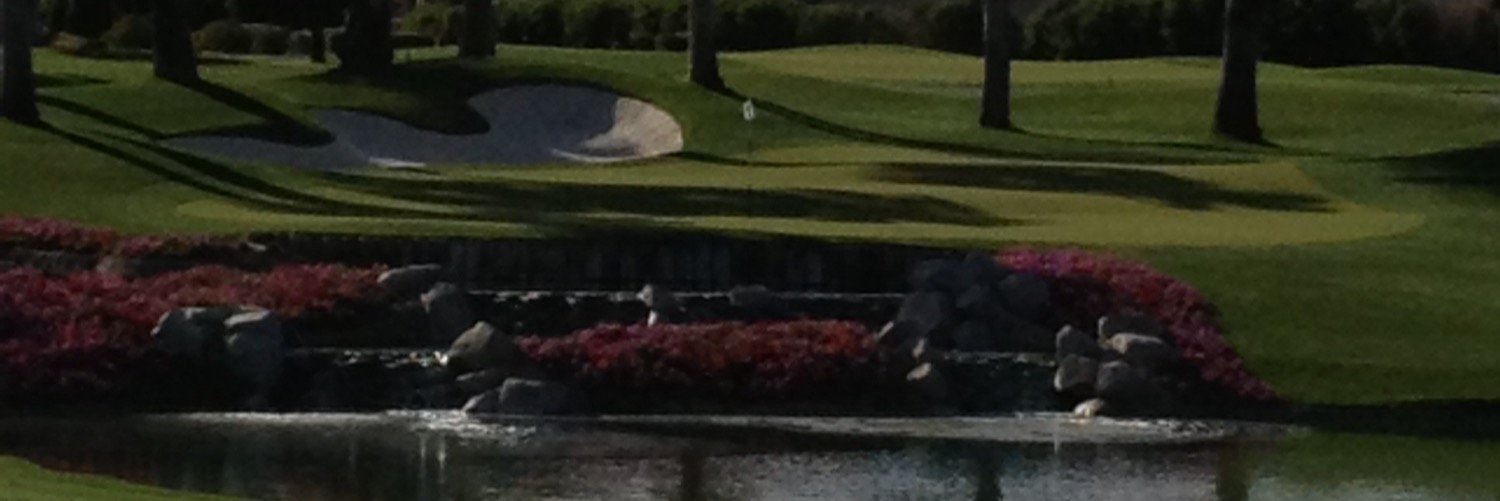 Chris Wagner banner