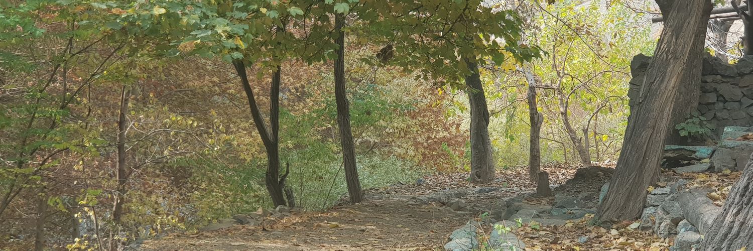 s_dabbi's profile banner image