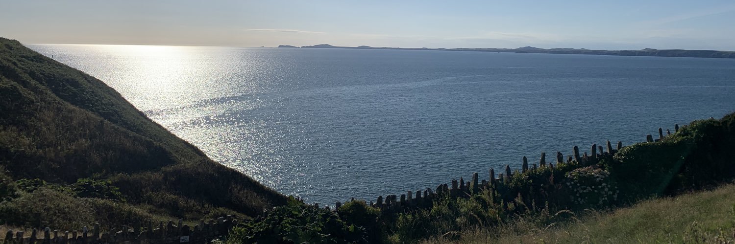 Clementine Serrell banner