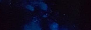 ceres_vx's profile banner image