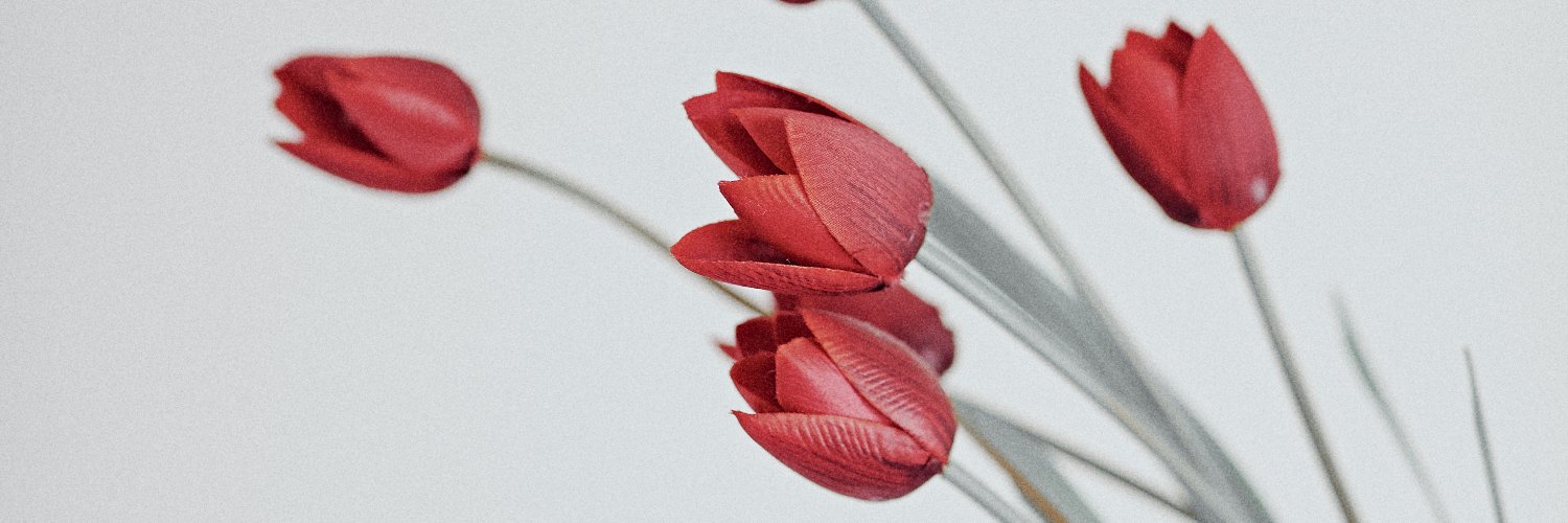 PacoSerrano91's profile banner image