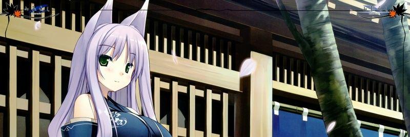 CrescentofPeace's profile banner image