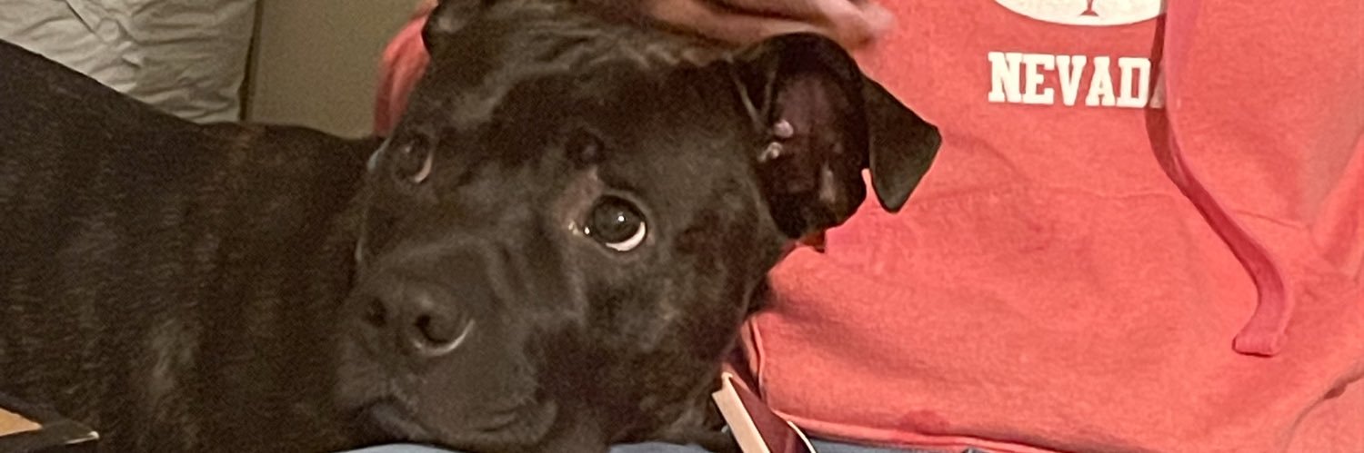 _GetLikeMikeya's profile banner image