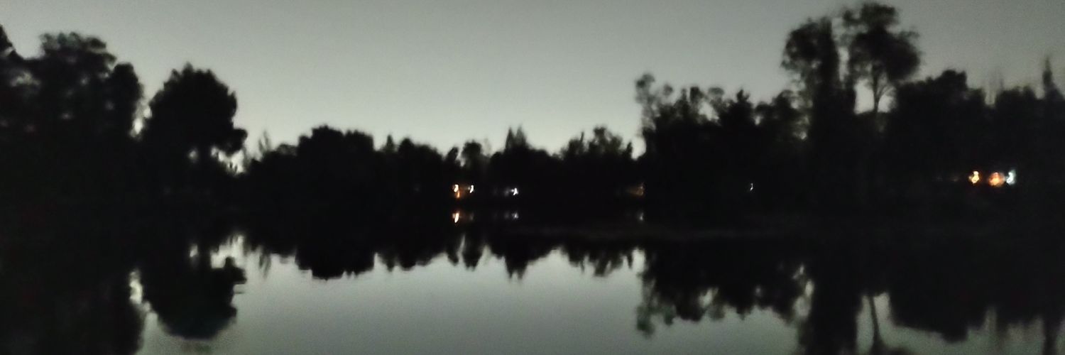 Sarillaig's profile banner image