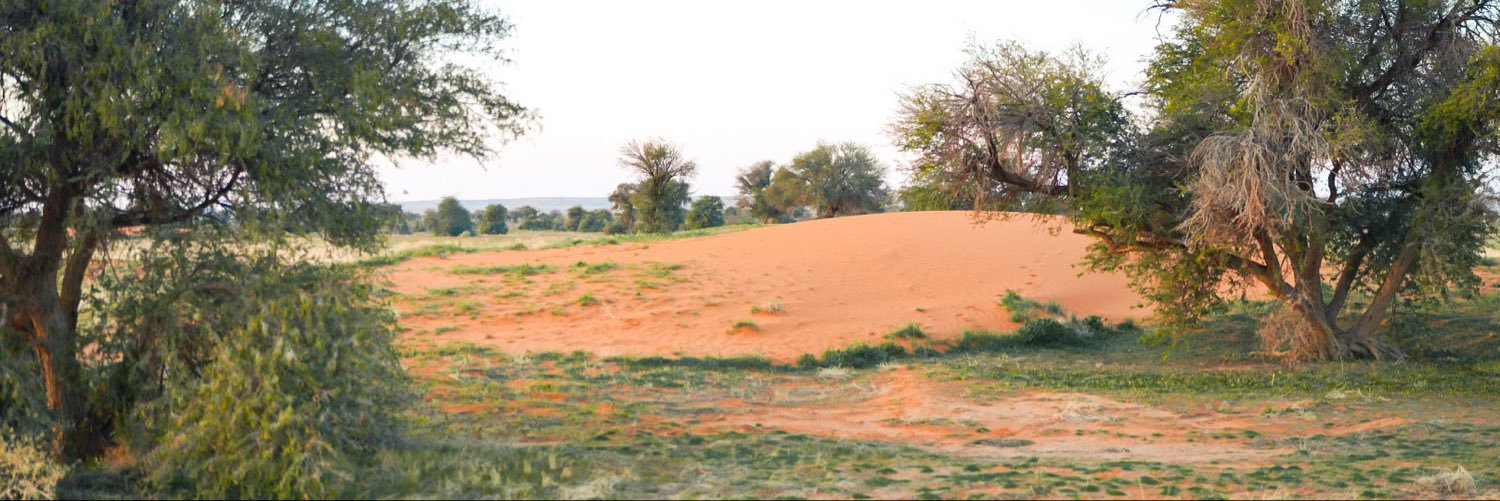 nwayeef87's profile banner image