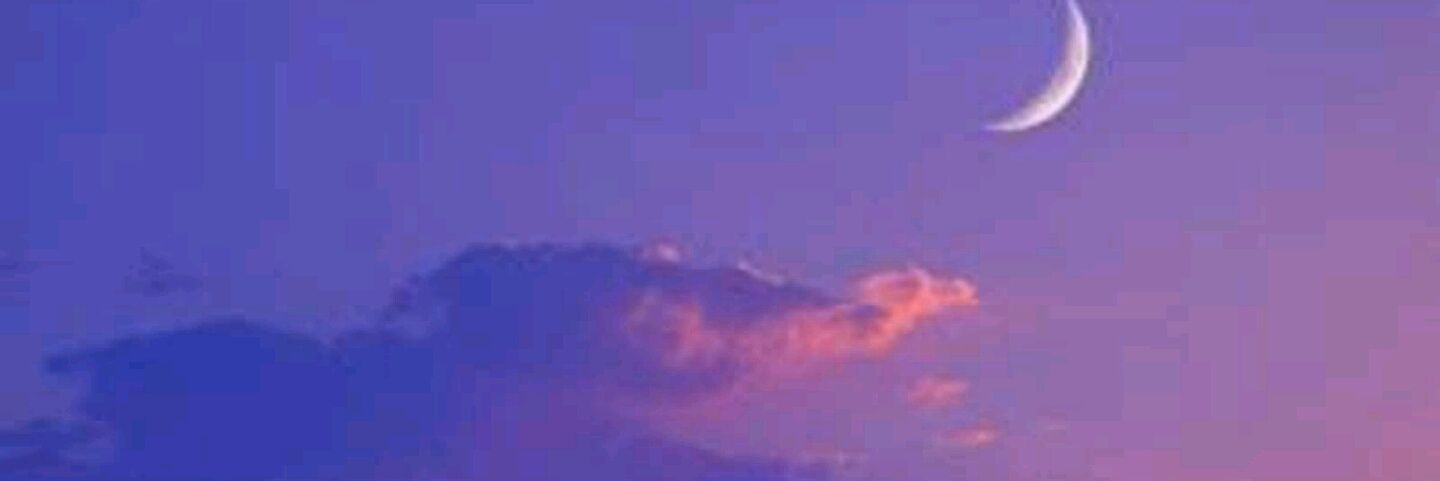 dsa333dsa27's profile banner image