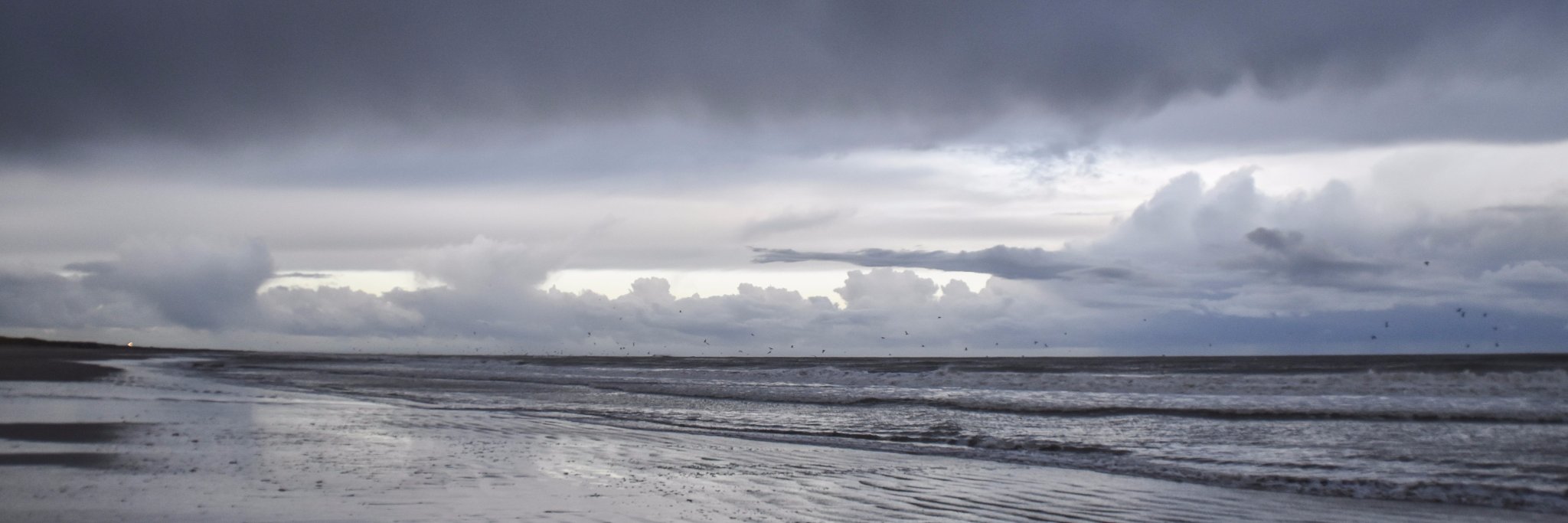 Richard_Bos's profile banner image