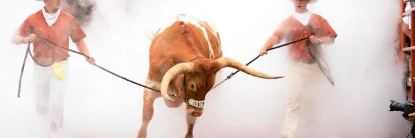 TexasFan_11's profile banner image