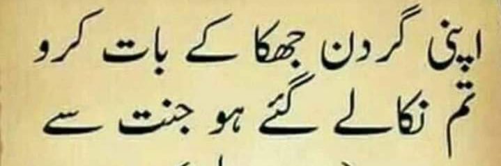 Ejaz Mallic banner