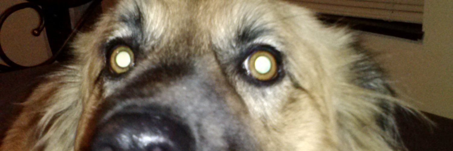 marywpizza's profile banner image