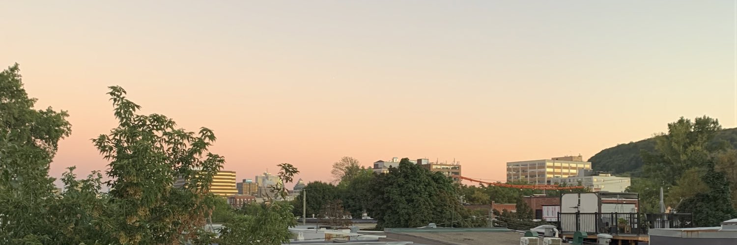capuvaillant's profile banner image