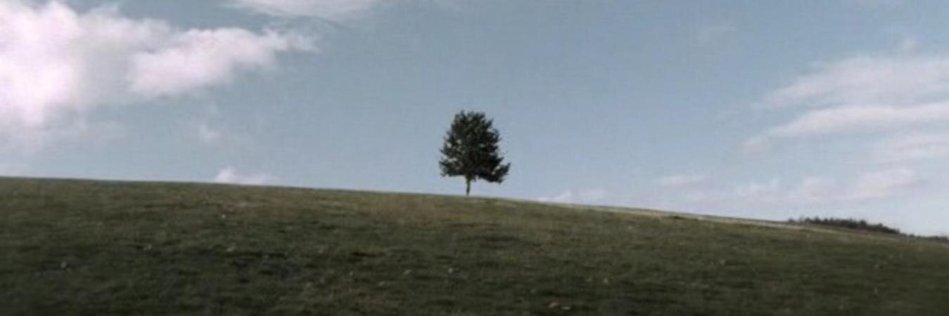 SrBlueJon's profile banner image