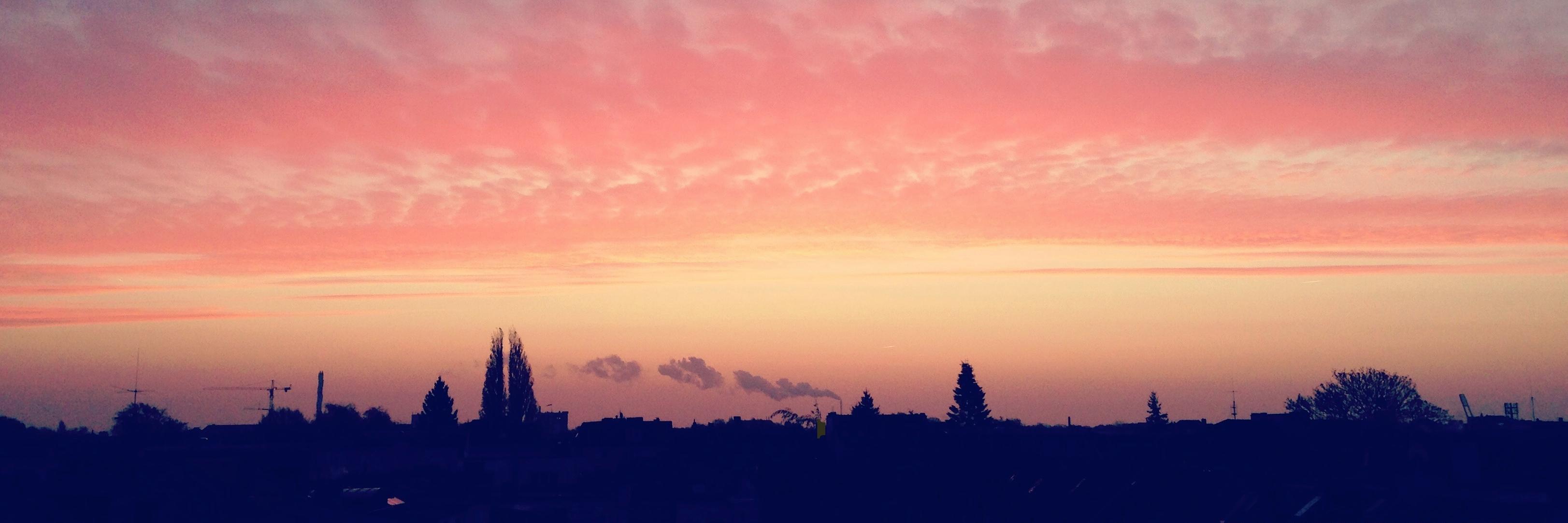 KooshGoose's profile banner image