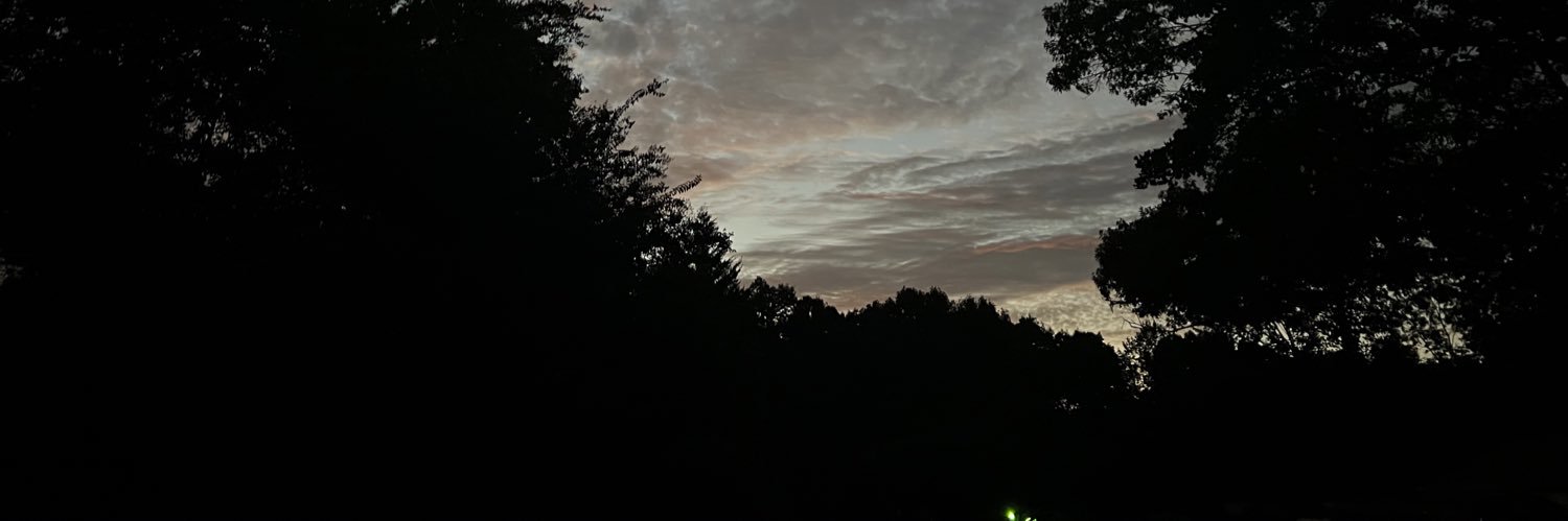 HannuhMorgan's profile banner image