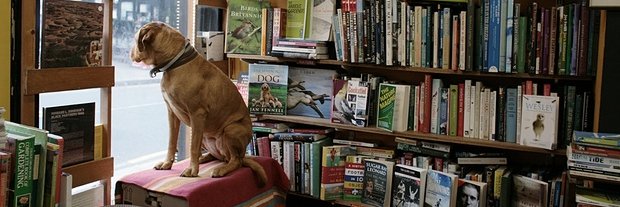 TheBookMarket_'s profile banner image
