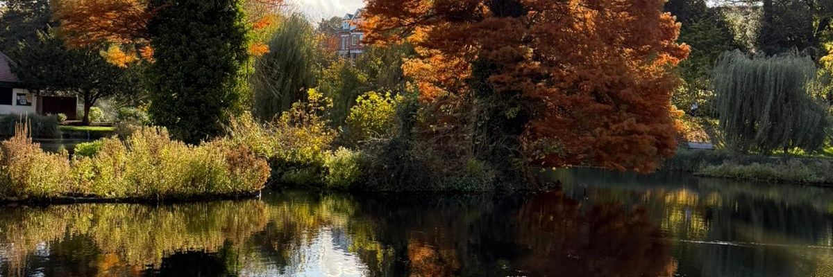 blacktxorange's profile banner image