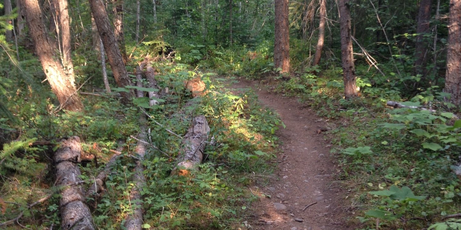 Catherine Hansen banner