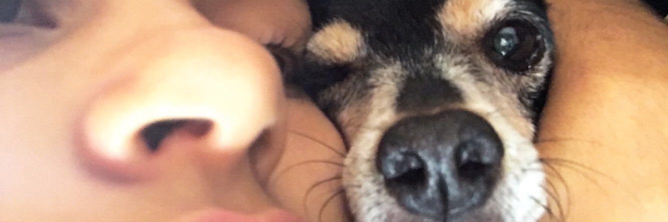 jenniz06's profile banner image