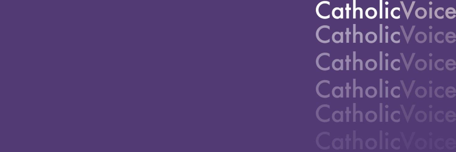 CatholicVoiceIE's profile banner image