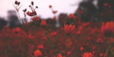 Daviidggd's profile banner image