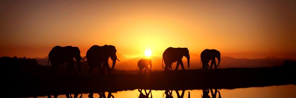 BaMustafi's profile banner image