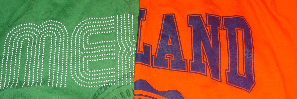 Dianeth PerezArreola banner