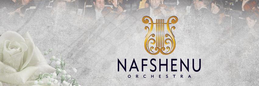 nafshenu's profile banner image
