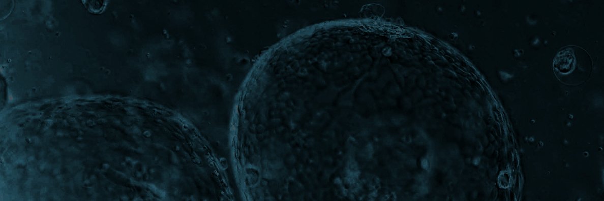 omid__fakhri's profile banner image