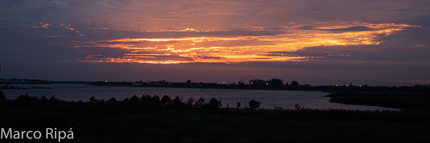 mripa1964's profile banner image