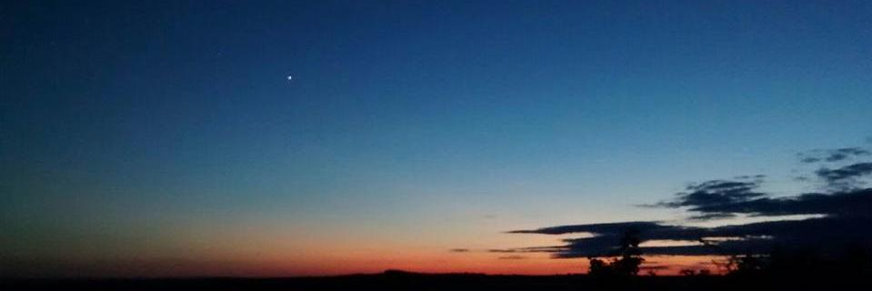 PoppyMiles's profile banner image