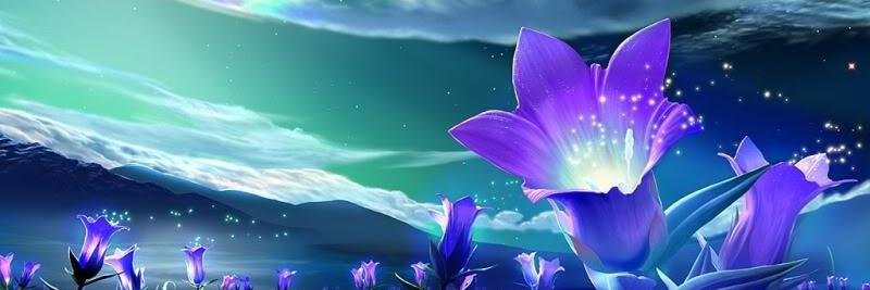 HRVSTGODDESS's profile banner image