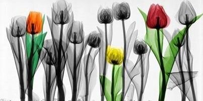 ndm10098's profile banner image