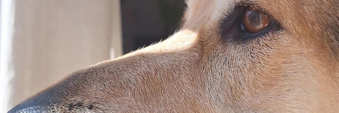 Infinito13_'s profile banner image