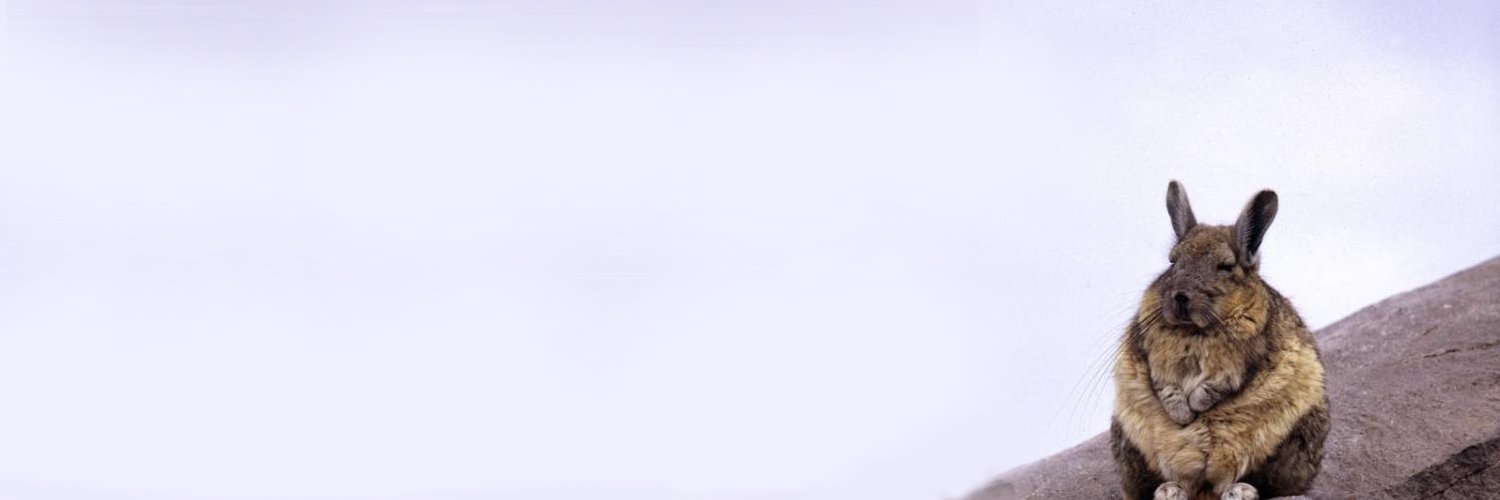 8nelica's profile banner image