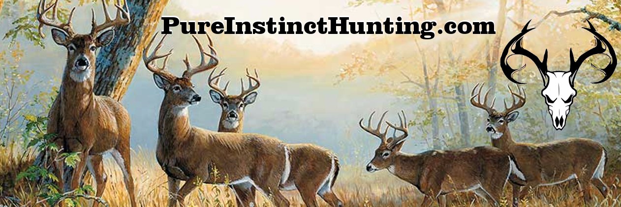 ProstaffHunter's profile banner image