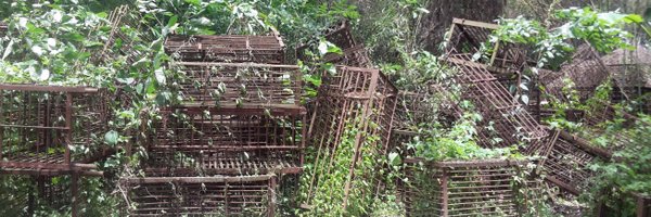 Thunderoad75 Profile Banner