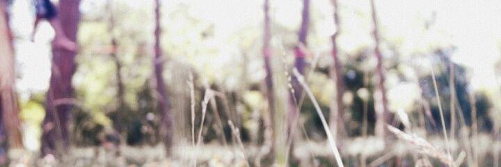 erlantz95's profile banner image