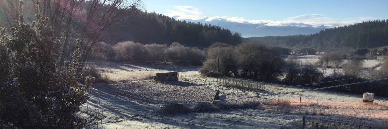 noemí fernández banner