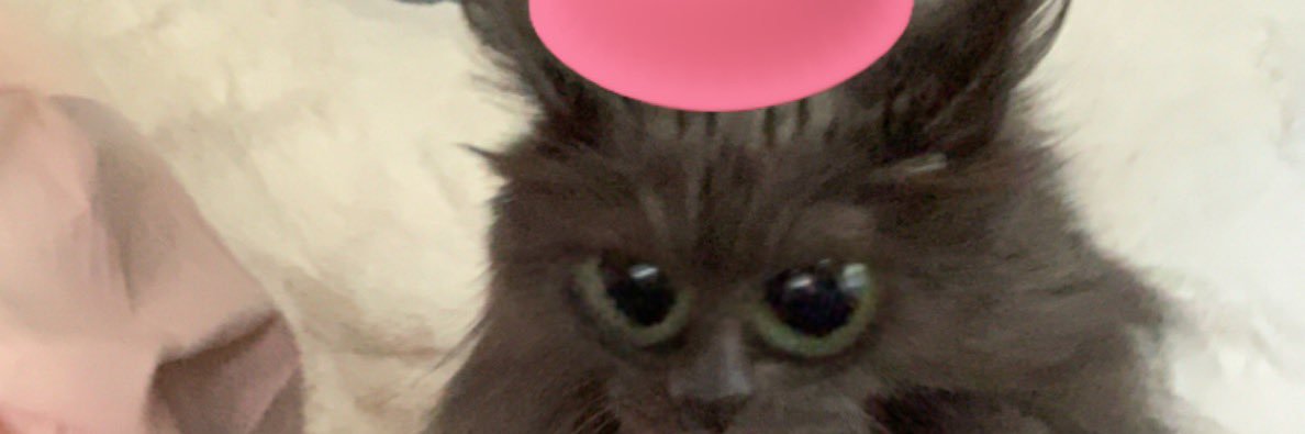 jillybean_416's profile banner image