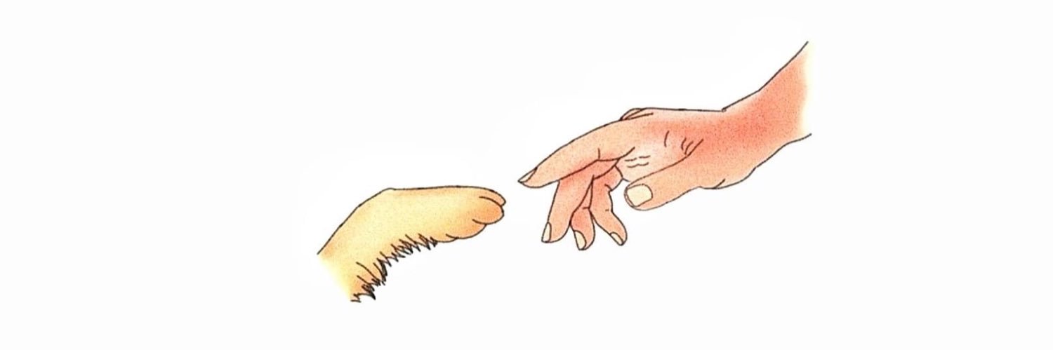 Hectriix's profile banner image