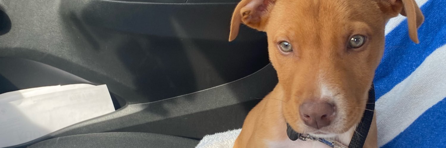 LoverBoySmitt📍 banner