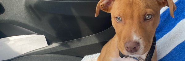 chefsmit Profile Banner