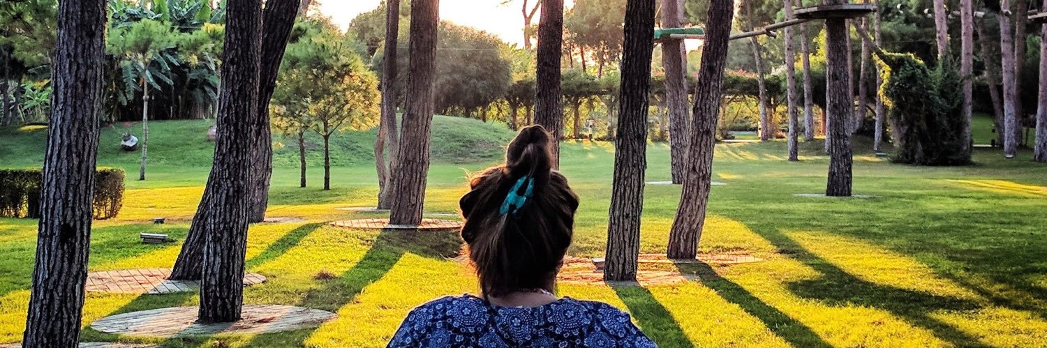 Chaarminee's profile banner image