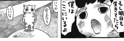zenigata190's profile banner image