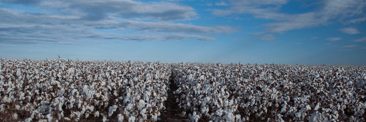 Dustin Burrows banner